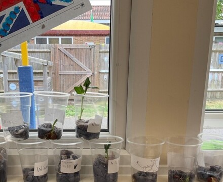 Thumbnail processed 4498A7C1 DCDD 41C2 A933 AAD0DCE2883B