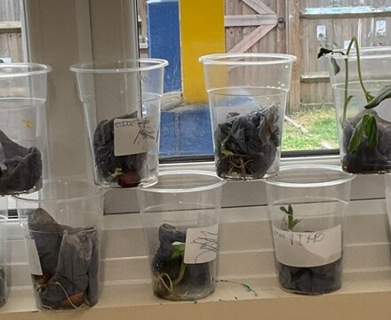 Thumbnail processed CF6B4E84 CB2E 43E8 9D21 818CB4F991A0 Copy