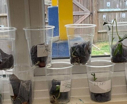 Thumbnail processed CF6B4E84 CB2E 43E8 9D21 818CB4F991A0 (1)   Copy