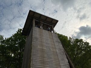 Img 1174