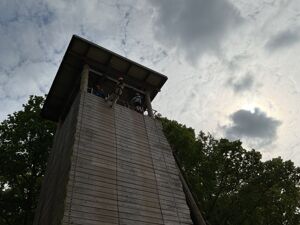 Img 1175
