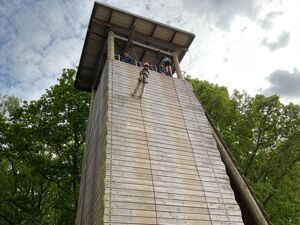 Img 1176