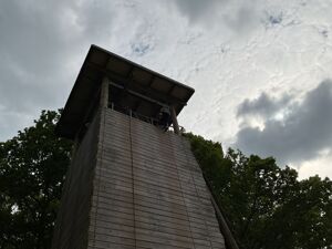 Img 1179
