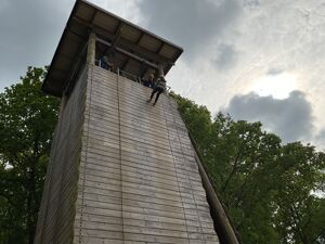 Img 1181