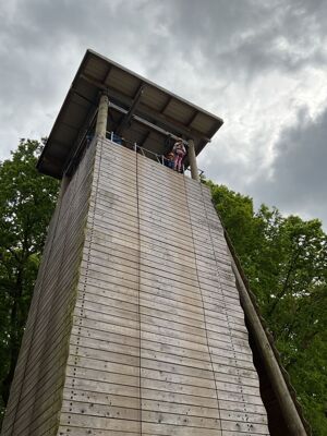 Img 1188
