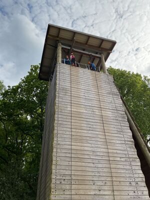 Img 1203