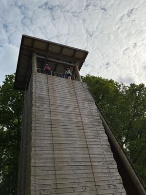 Img 1204